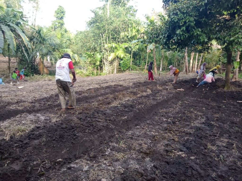 Kebun desa bukan sekedar lahan, tapi sumber kehidupan dan kebersamaan
