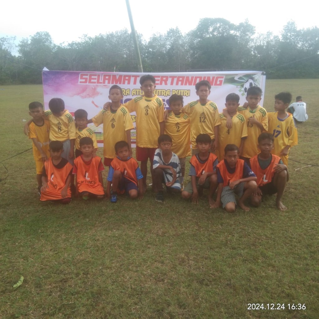 Liga desa